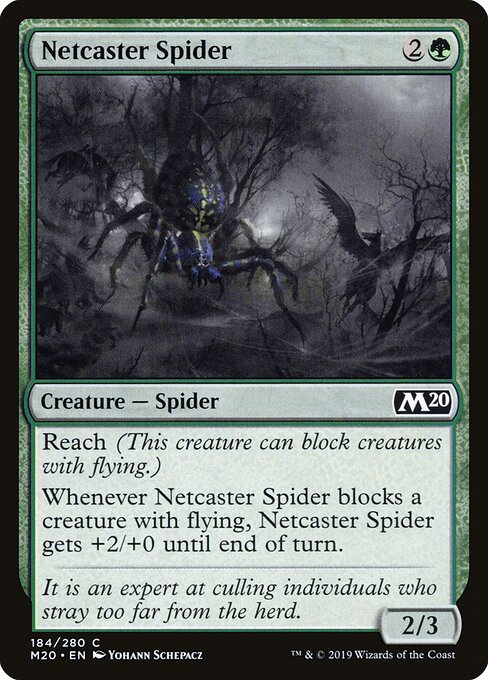 Netcaster Spider — Front