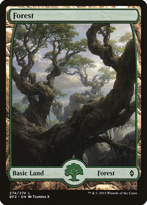 Forest (274) — Front