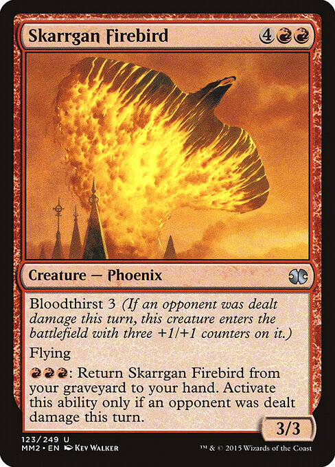 Skarrgan Firebird — Front