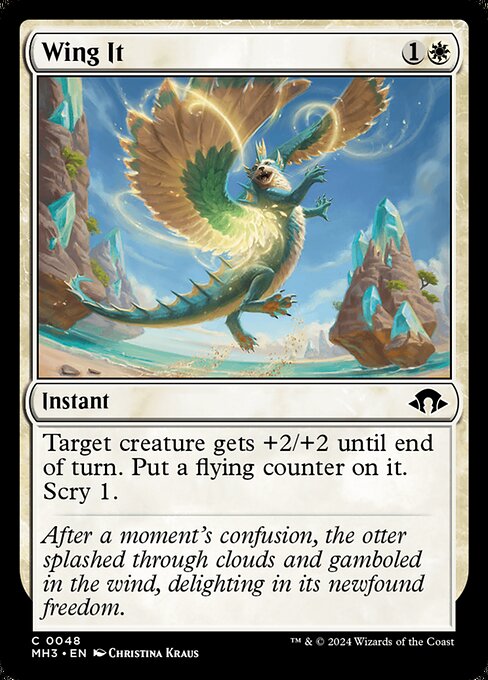 Wing It — Front
