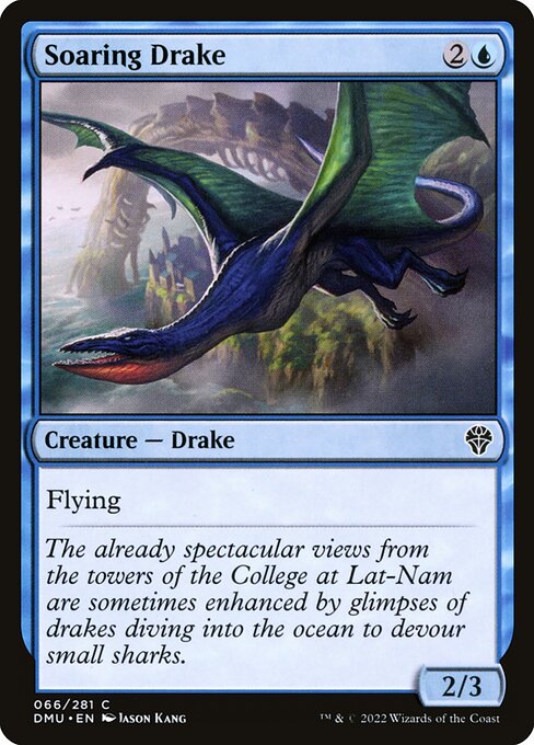 Soaring Drake — Front