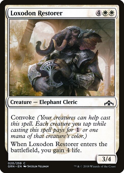 Loxodon Restorer — Front