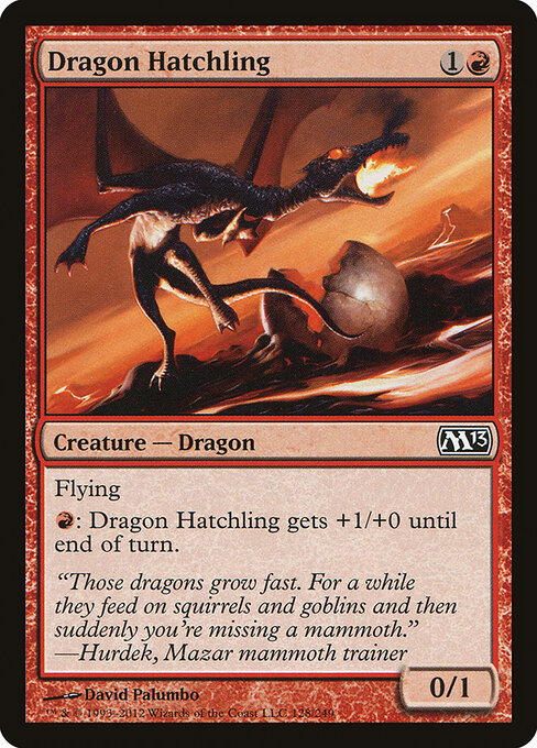 Dragon Hatchling — Front
