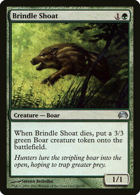 Brindle Shoat — Front