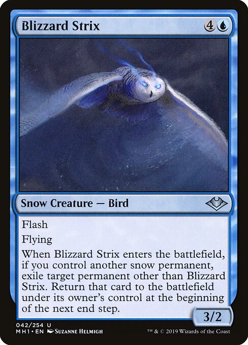 Blizzard Strix — Front
