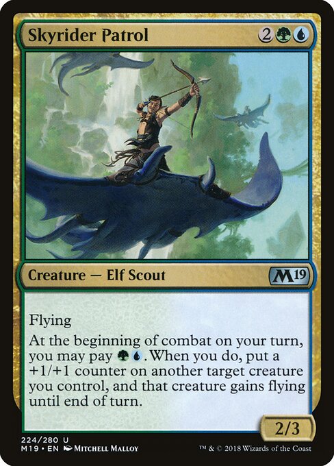 Skyrider Patrol — Front