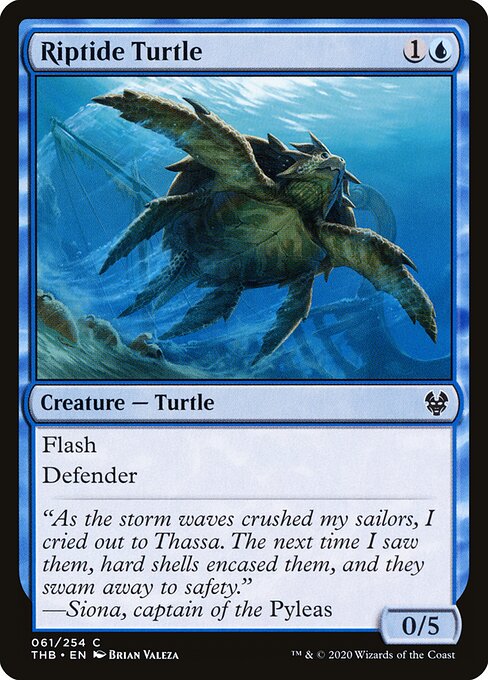 Riptide Turtle — Front
