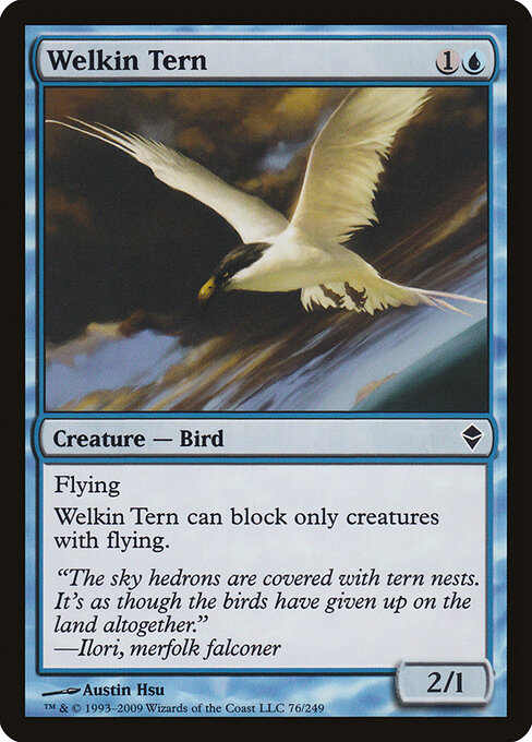 Welkin Tern — Front
