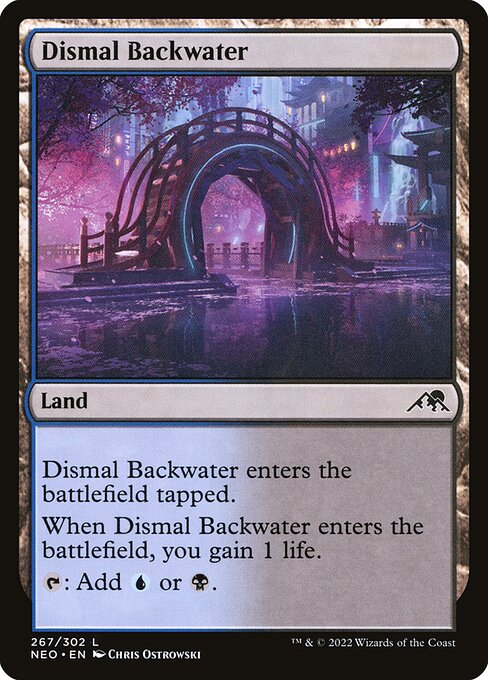 Dismal Backwater — Front
