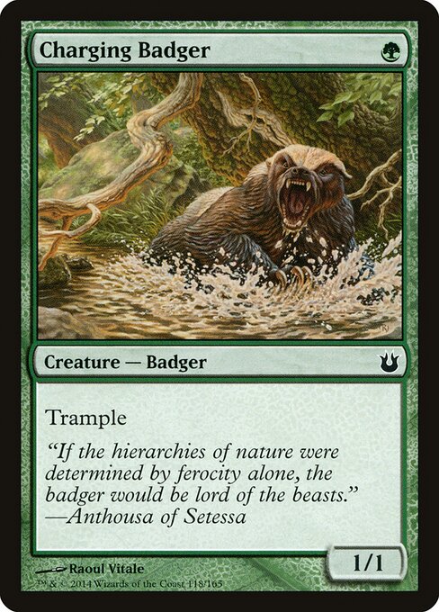 Charging Badger — Front
