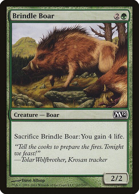 Brindle Boar — Front