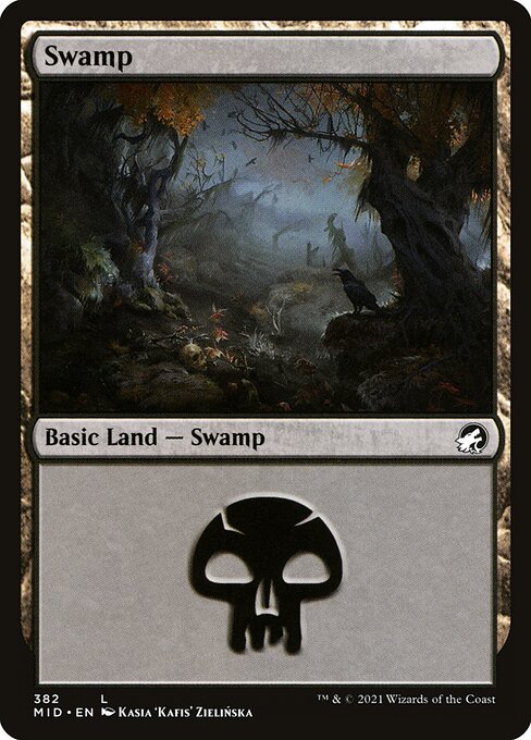 Swamp (382) — Front