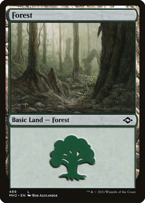 Forest (489) — Front