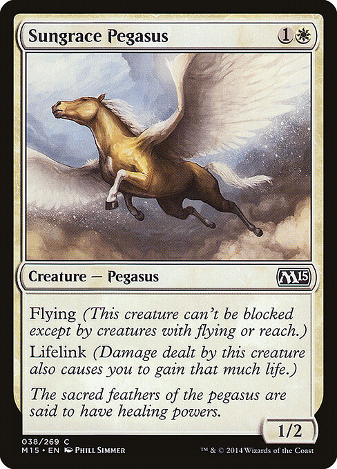 Sungrace Pegasus — Front
