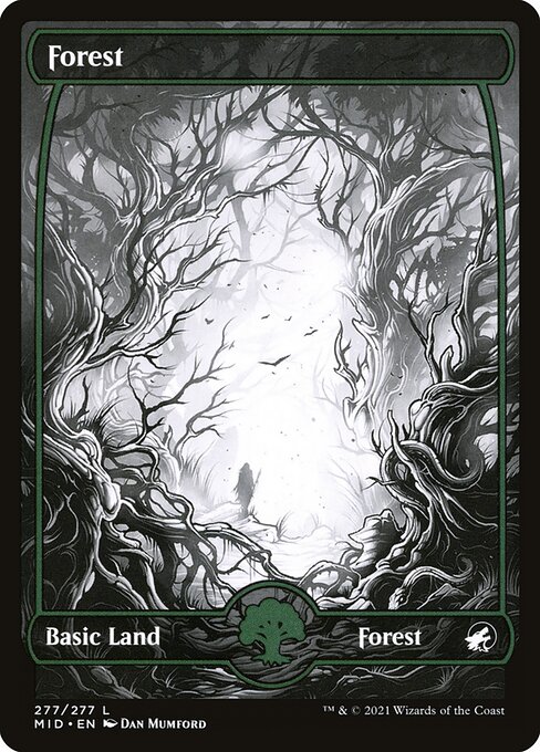 Forest (277) — Front