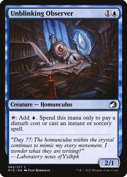 Unblinking Observer — Front