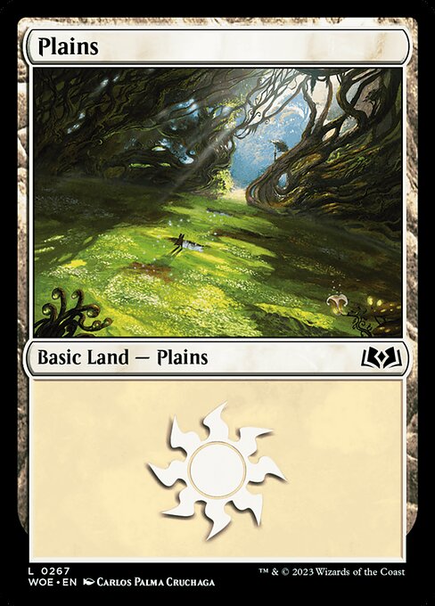 Plains (0267) — Front