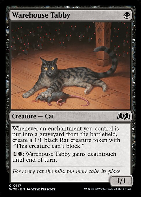 Warehouse Tabby — Front