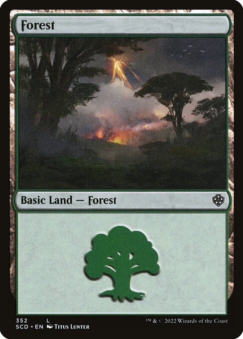 Forest (352) — Front