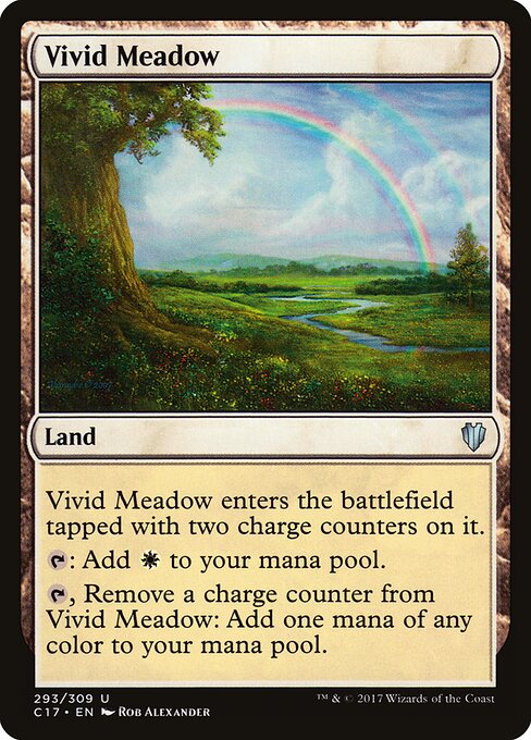 Vivid Meadow — Front