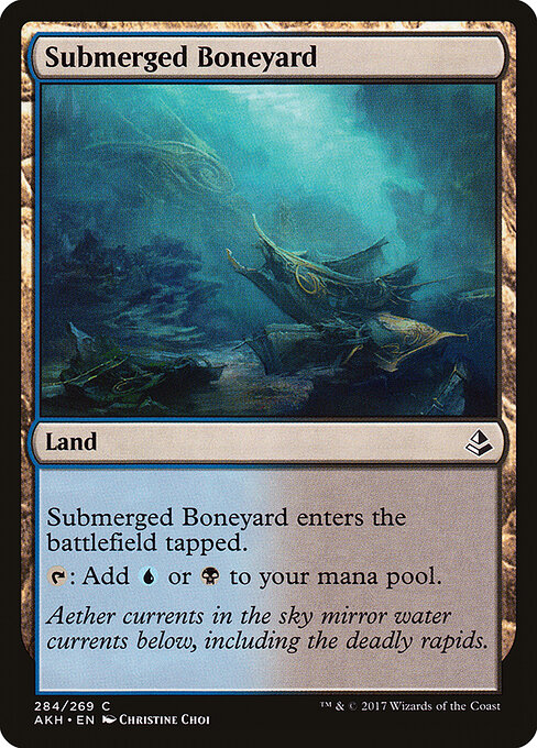 Submerged Boneyard — Front