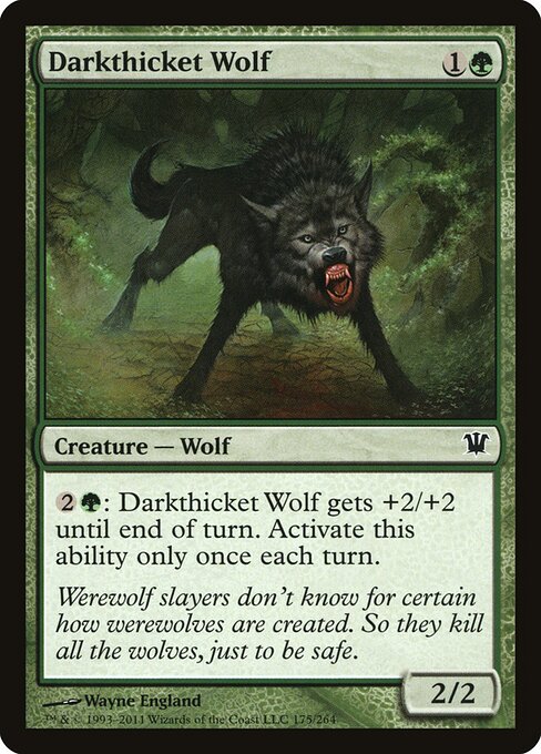 Darkthicket Wolf — Front