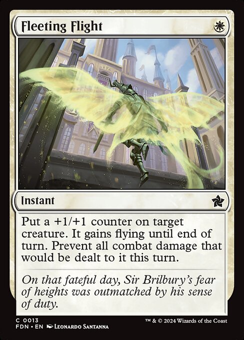 Fleeting Flight — Front