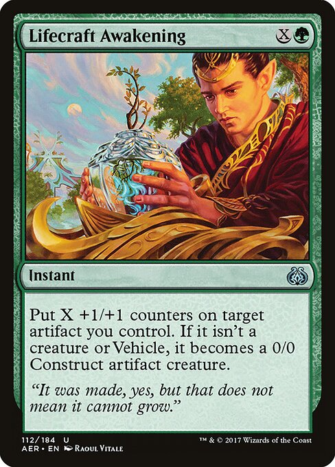 Lifecraft Awakening — Front