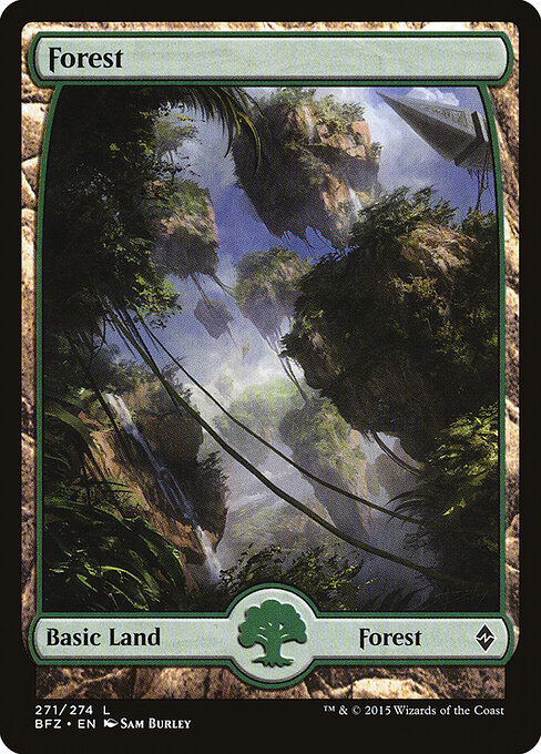Forest (271) — Front