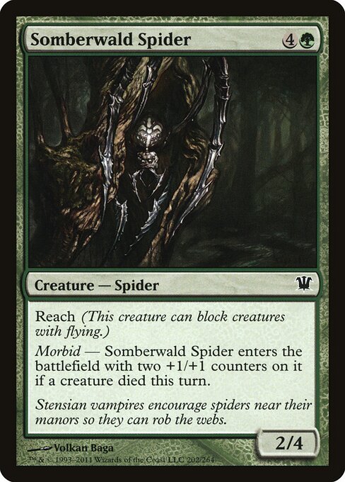 Somberwald Spider — Front