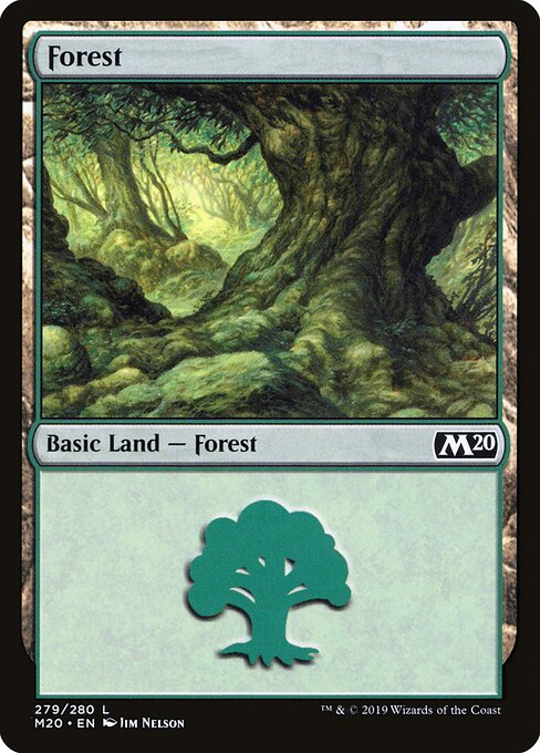 Forest (279) — Front