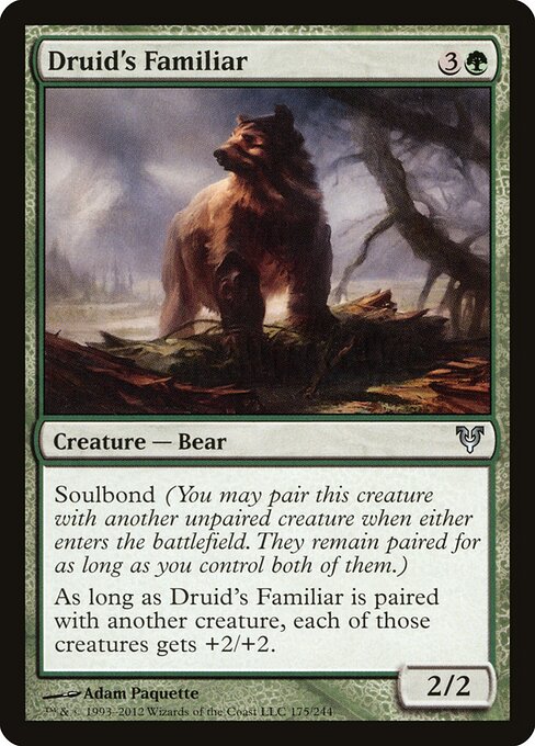 Druid's Familiar — Front