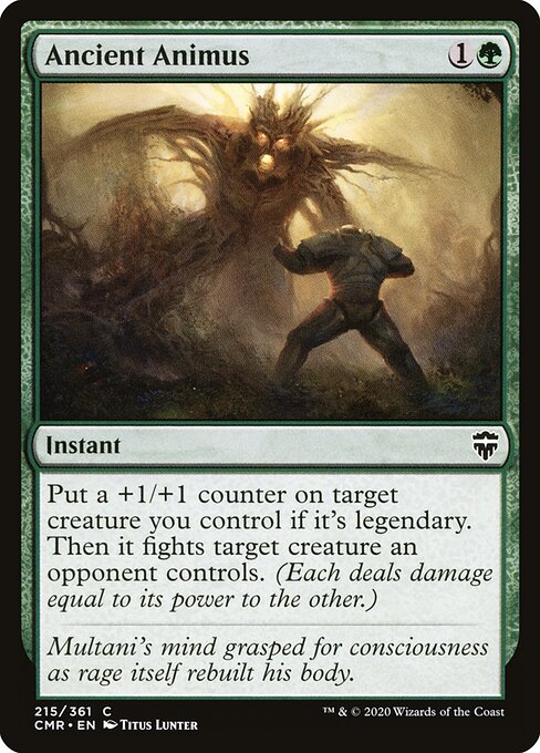 Ancient Animus — Front