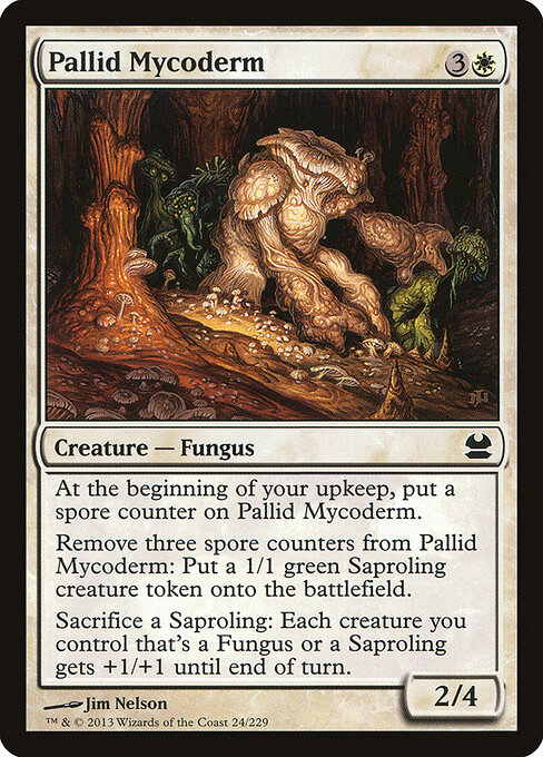 Pallid Mycoderm — Front