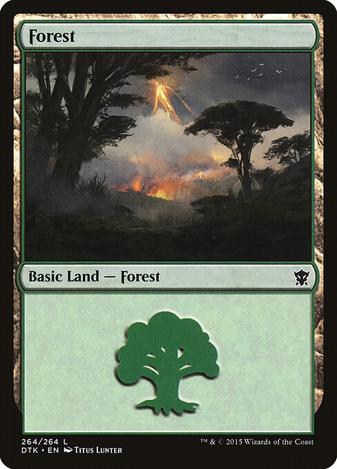 Forest (264) — Front