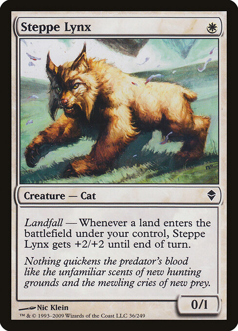 Steppe Lynx — Front