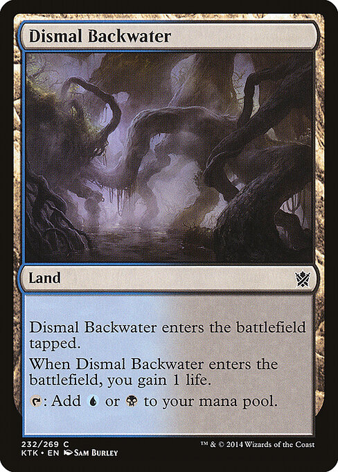 Dismal Backwater — Front