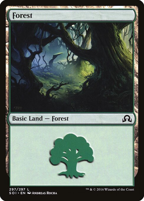 Forest (297) — Front