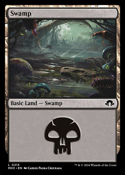 Swamp (0315) — Front