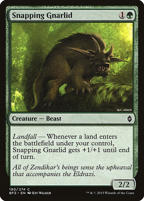 Snapping Gnarlid — Front