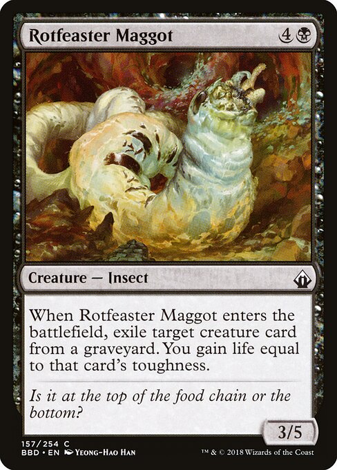 Rotfeaster Maggot — Front