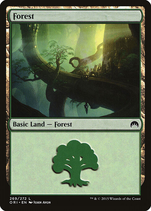 Forest (269) — Front