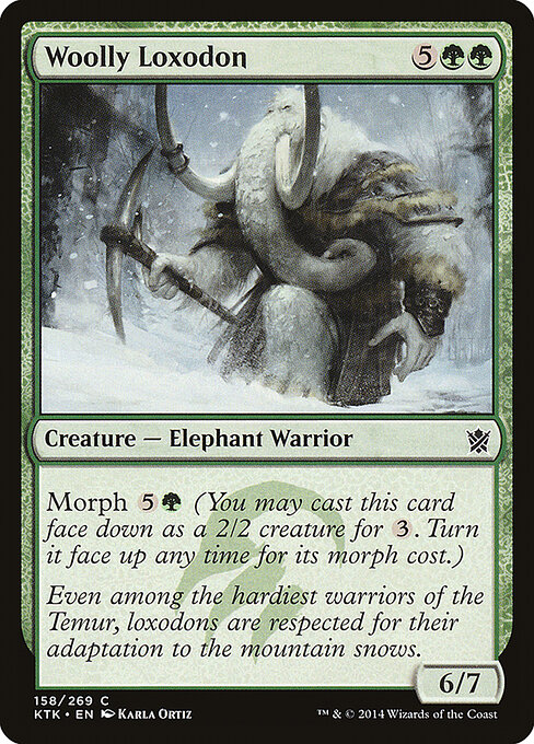 Woolly Loxodon — Front