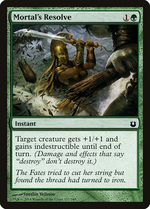 Mortal's Resolve — Front
