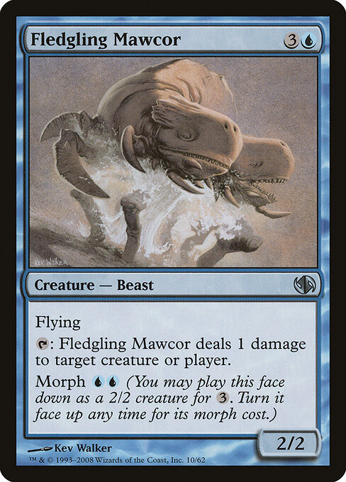 Fledgling Mawcor — Front