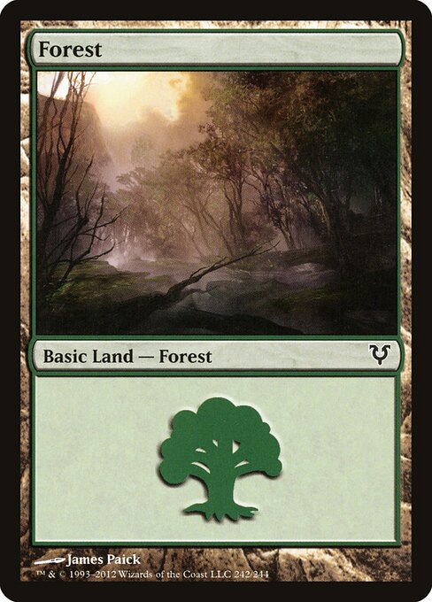 Forest (242) — Front