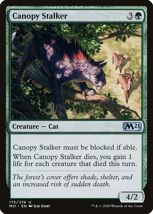 Canopy Stalker — Front