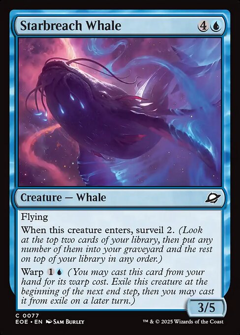 Starbreach Whale — Front