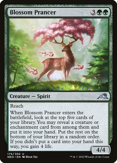 Blossom Prancer — Front