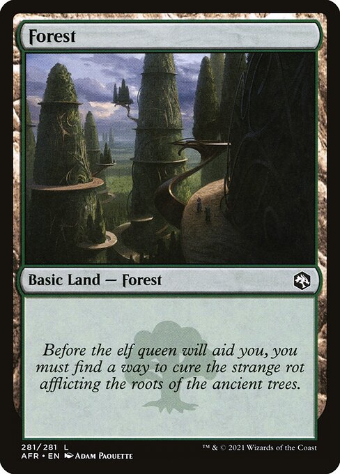 Forest (281) — Front